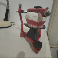 Articolatore dentale