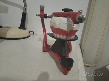 Articolatore dentale