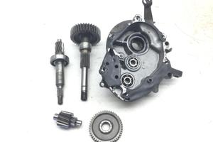 HONDA SH 125 CARTER E INGRANAGGI TRASMISSIONE RUOT