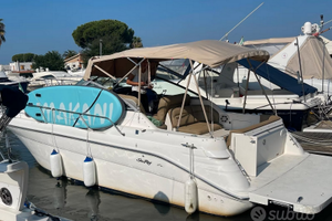 Barca Americana Sea Ray 270 Sunders