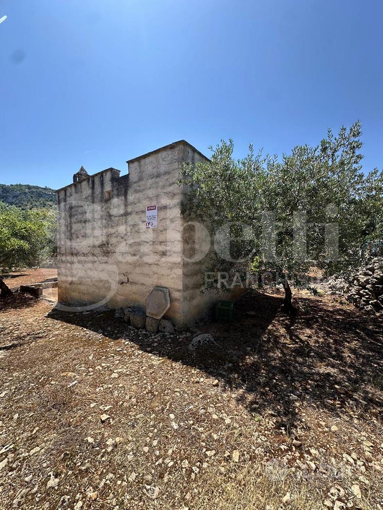 Terreno Agricolo Ostuni [Cod. rif 3234970VCG] - Vista 3