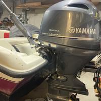 Fuoribordo YAMAHA 115 del 2020