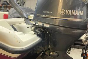 Fuoribordo YAMAHA 115 del 2020