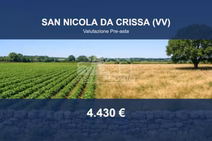 Immobile in asta di 4450 m² a San Nicola da Crissa