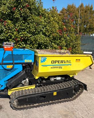 M159 - Dumper radiocomandato ribaltabile seminuovo