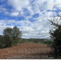 Terreno Agricolo Narcao [A4334640]