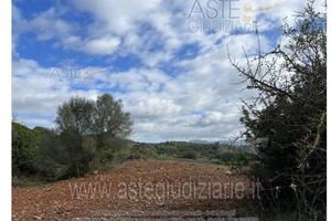 Terreno Agricolo Narcao [A4334640]