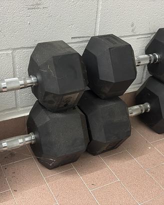 COPPIA MANUBRI 30 e 40 kg gommati