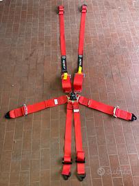 Cinture Racing 6 punti