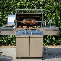 Barbecue NAPOLEON PRESTIGE PRO 500