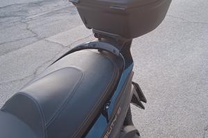 scoter