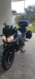 Suzuki v strom
