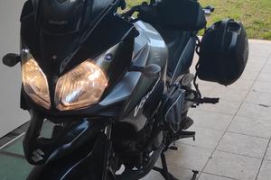 Suzuki v strom