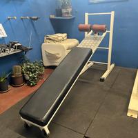 Panca addominali Technogym