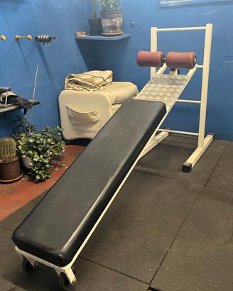 Panca addominali Technogym