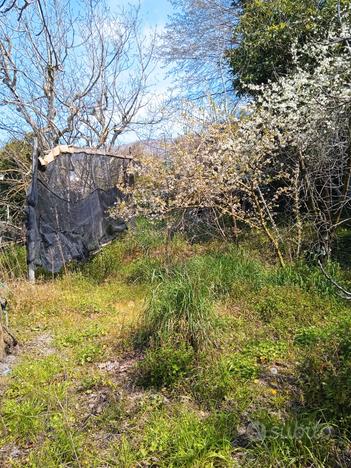 Terreno nel Parco Nazionale del Vesuvio