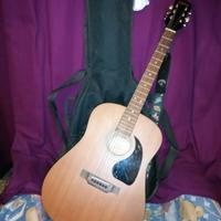 Chitarra classica epiphone pr 100m/ns
