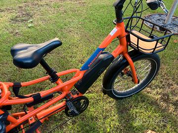 Cargobike Longtail Radwagon 4