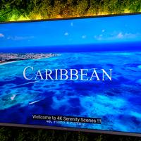 TV Philips 55” 4k