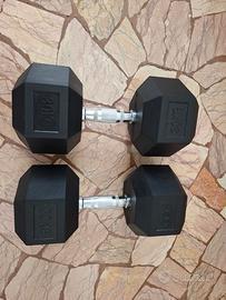 Manubri dumbell 30 kg ciascuno , nuovissimi