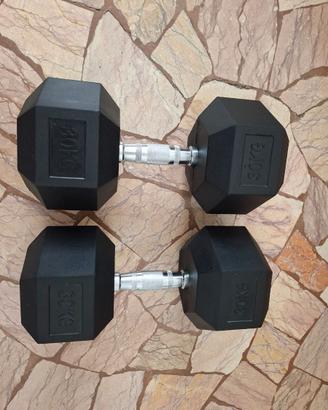 Manubri dumbell 30 kg ciascuno , nuovissimi