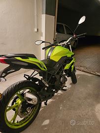 Benelli bn 125