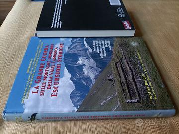 Bovarini Damasio Fiske Reale Belotti e altri