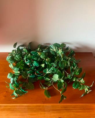 Foglie finte di pothos variegato ornamentali