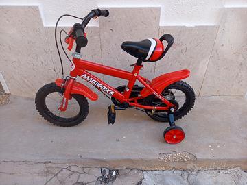 bicicletta 
