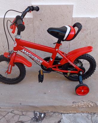 bicicletta 