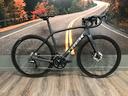 trek-domane