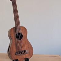 Kala Ukulele UBASS-SMHG-FS - Solid Mahogany