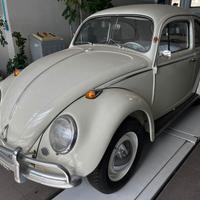 VW Maggiolino 1964 (cornuta)