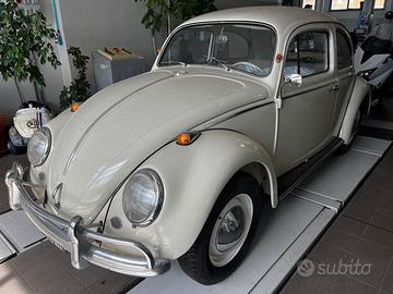 VW Maggiolino 1964 (cornuta)