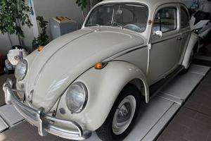 VW Maggiolino 1964 (cornuta)