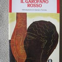 Il garofano rosso di Elio Vittorini