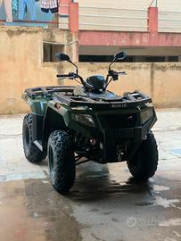 Quad cc 450 Artic Alterra 2016