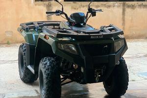 Quad cc 450 Artic Alterra 2016