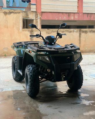 Quad cc 450 Artic Alterra 2016