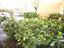 Immagine 24