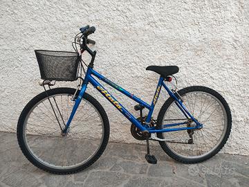 Mountain bike mtb