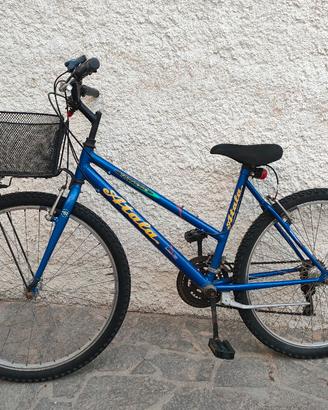 Mountain bike mtb