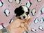 Immagine 14