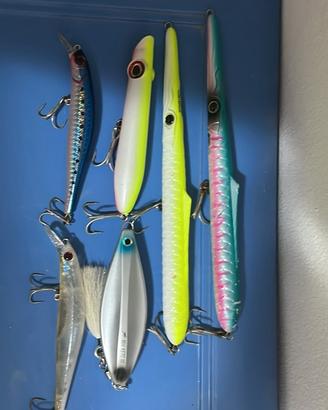 Artificiali pesca Spinning e Eging