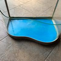 Vaschetta Tartarughe