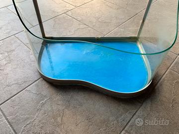 Vaschetta Tartarughe