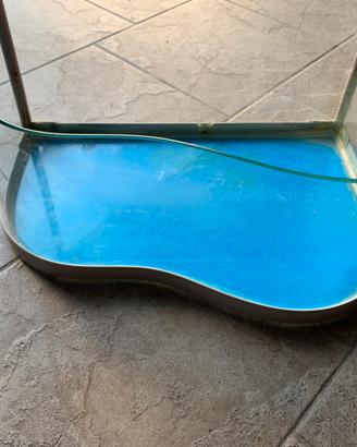 Vaschetta Tartarughe