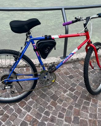 Bici vintage pronta all’uso