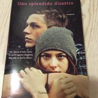 Uno splendido disastro