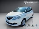 lancia-ypsilon-1-2-69-cv-5-porte-gold-cell-vendite